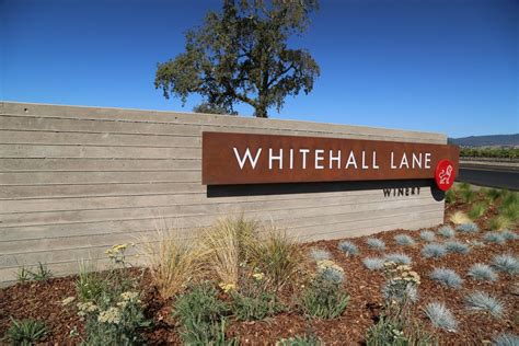 Whitehall lane winery. Things To Know About Whitehall lane winery. 